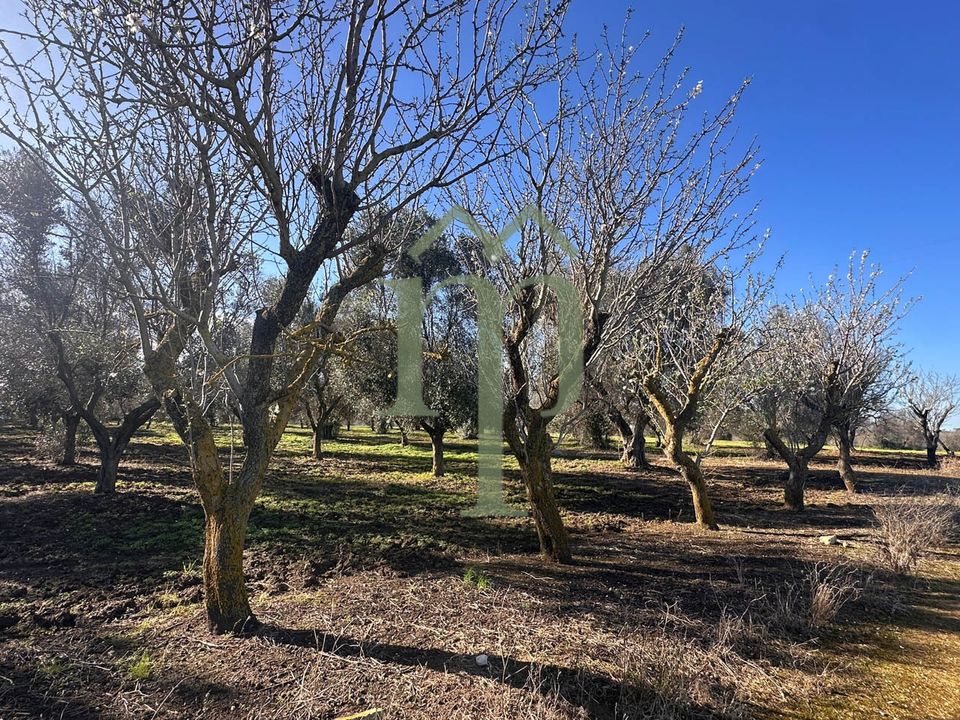 Ruinere i Brindisi, Brindisi - foto 2